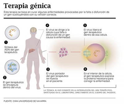 Terapia Genica