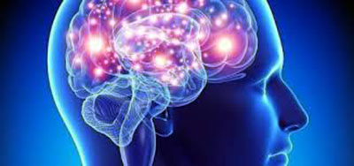 ¿Cómo afecta el exceso de información al cerebro? 
