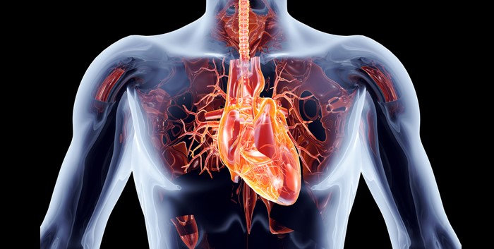Pacientes-de-válvula-aórtica-podrían-evitar-la-cirugía-de-corazón-abierto-con-TAVR