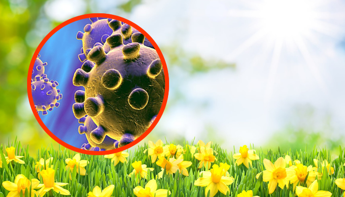 Llega la alergia primaveral: cómo distinguirla del coronavirus 