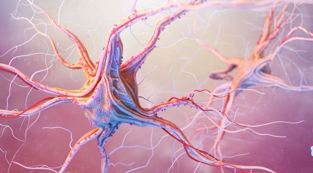 epilepsia