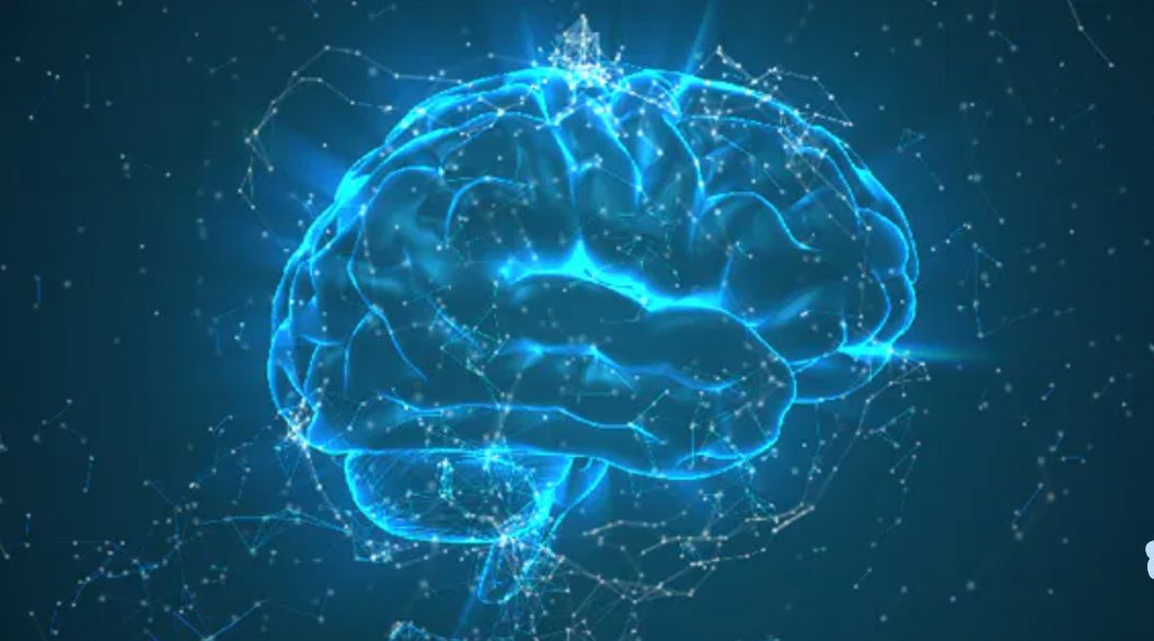 cerebro-neurologia-