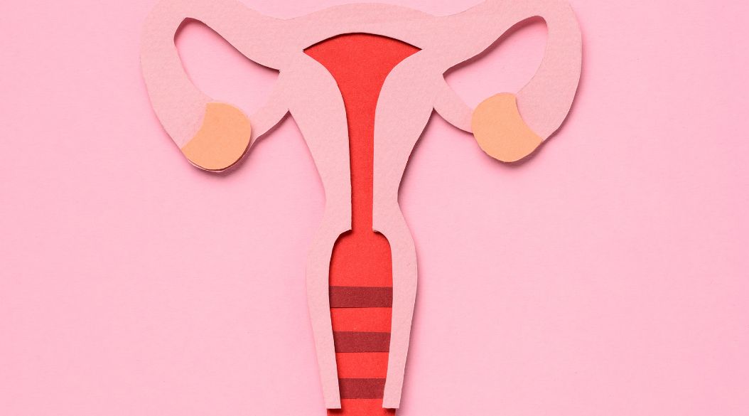 Destacan últimos avances en tratamiento miomas uterinos 