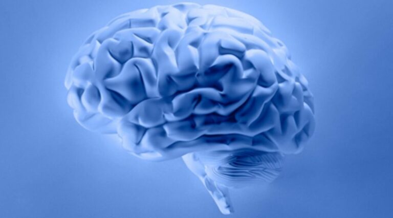 cerebro-cerebral-neurologia