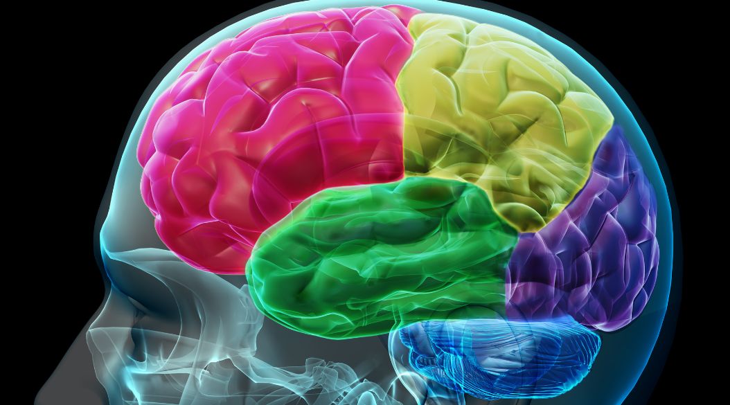 Estudio revela diferencias entre tratamientos para pacientes con accidente cerebrovascular 