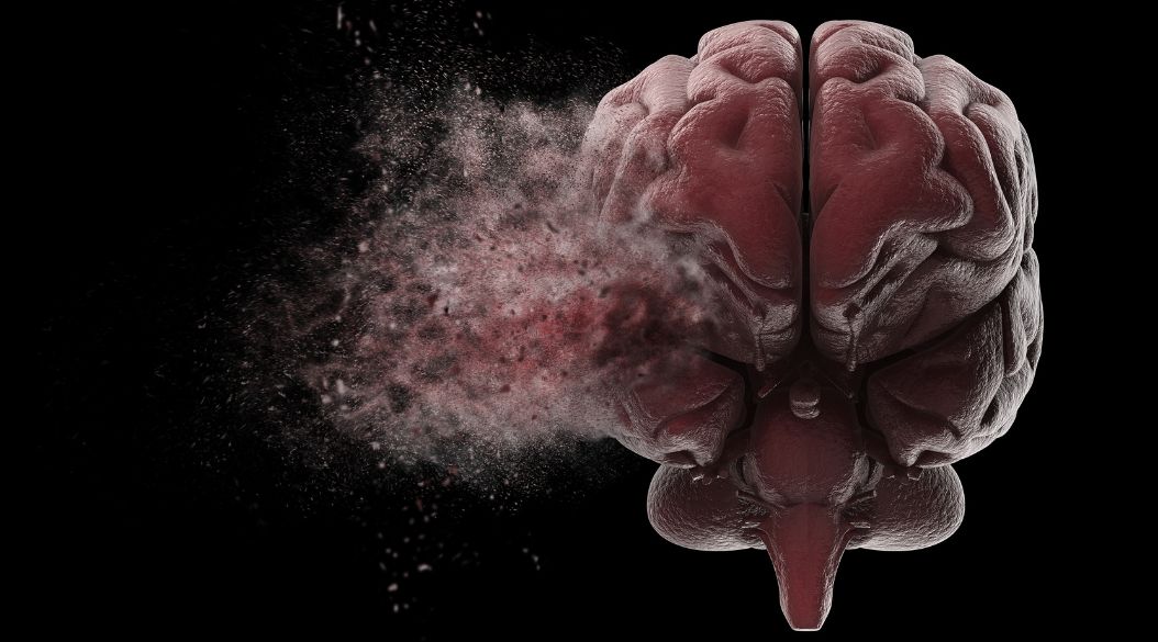 cerebro