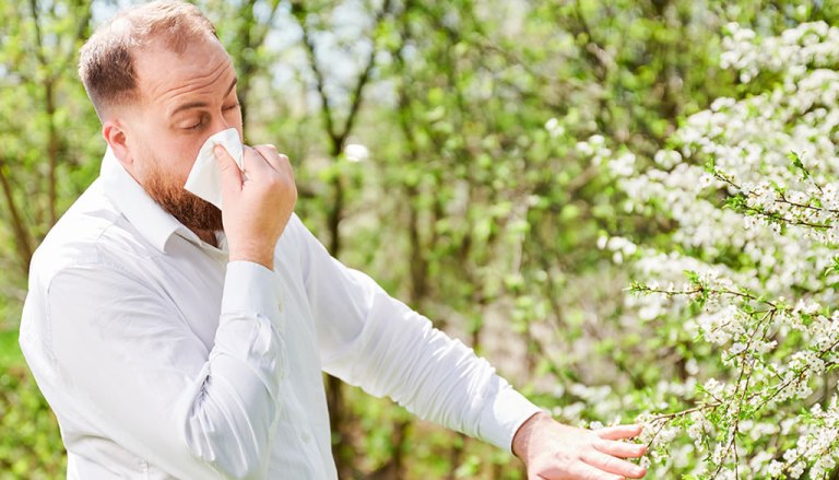 alergias-temporada-primavera